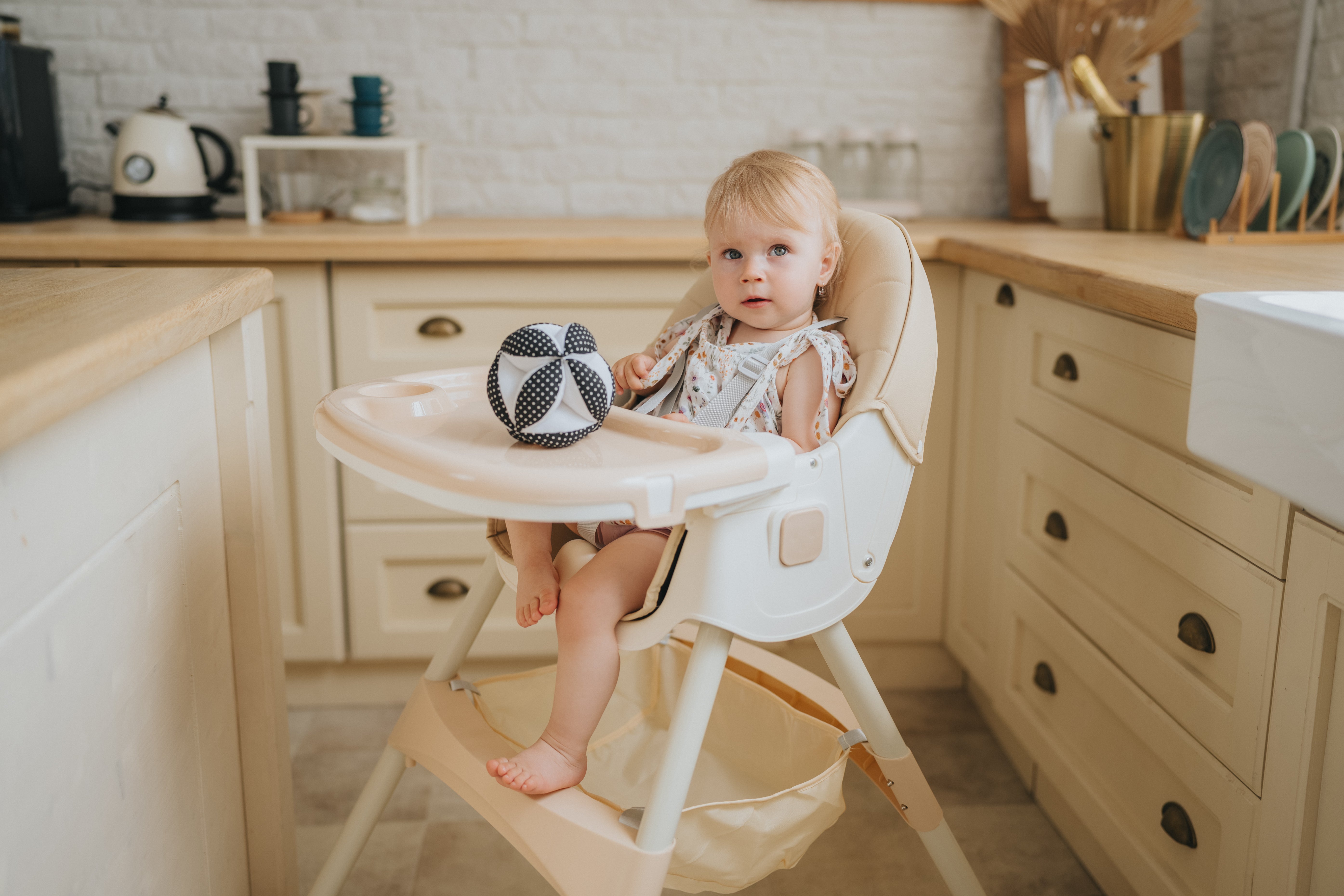 Cadeira de alimentação infantil 2 em 1 Comfort - Azul