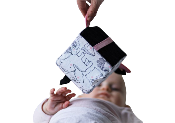 MyMoo Cubo Sensorial Busy cube - Animais da floresta/cor-de-rosa
