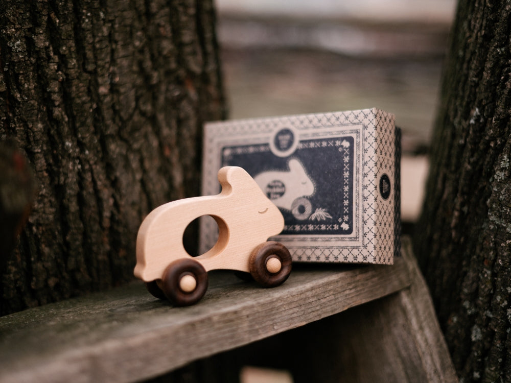 Wooden Story Coelhinho